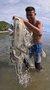 Fisherman Caught Lots of Sardines on the Shore Using a Castnet! 😱