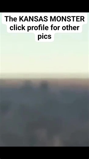 Clearly you can see in this vid the Kansas Monster had an injury. Was this the cause of his death? We will never know. He was missing one of his eyes as well.This buck lived a very long life roaming an area of Kansas and definitely passed along his genes. Would you believe that the genetics from this farm have been witnessed on a buck killed back in the 1960's..?? Its amazing and soon to be shown.. you will not want to miss this crazy amazing history on such a well documented whitetail FREE RANG