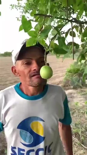 Explore the Magic of Smart Bots in Trending Reels