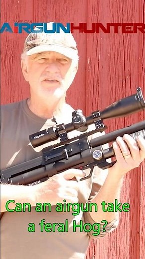 Hunting Feral Hogs with an Air Rifle!