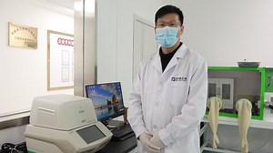 荧光定量PCR扩增技术