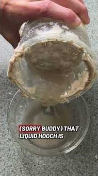 Reviving a neglected sourdough starter after 6 months without feeding! #sourdoughbaking