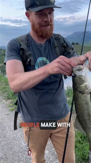 Don't let these 3 mistakes keep you from catching fish when fishing with chatterbaits! Remember to vary your speeds for different retrieves and let the bass tell you what they want! Your next big catch awaits!#bassfishing #fishing #chatterbaits #bladedjig #baits #lures #fish #largemouthbass | Kraken Bass
