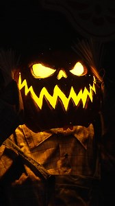 Stroll through spooky pathways, grab treats, and show off your costume at Boo at the Zoo! Every weekend in October.  | Oglebay Good Zoo | Facebook