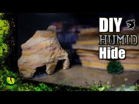 DIY Humid Hide! | Reptilian Den