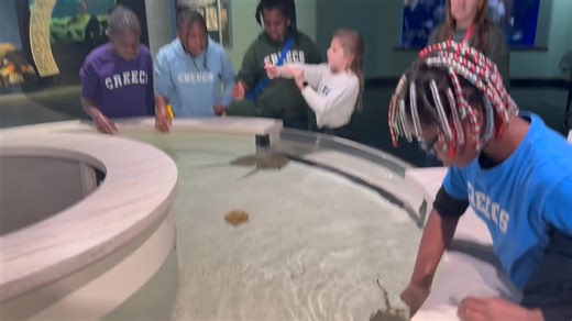  South Carolina Aquarium Field Trip – Part Two (Grades 3–5) ...