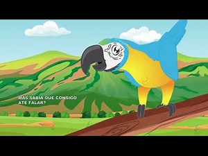 Arara Canindé - Leonardo Luiz Ludovico Póvoa e Stela Araújo Póvoa