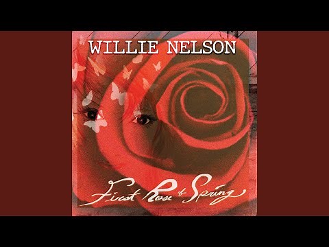 First Rose of Spring