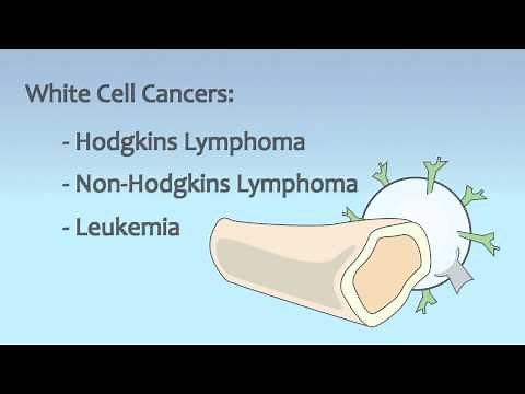Video 18 Blood and Immune System Disorders