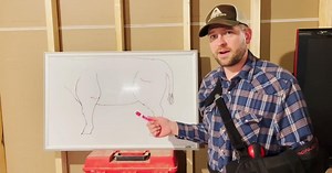 Fixing a Calf's Broken Leg