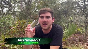 The hidden danger most people miss when handling a jumping spider