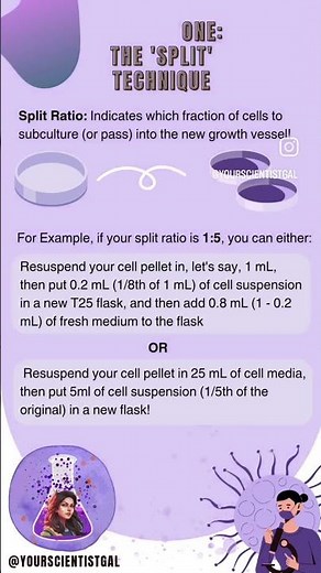 How to plate cells?