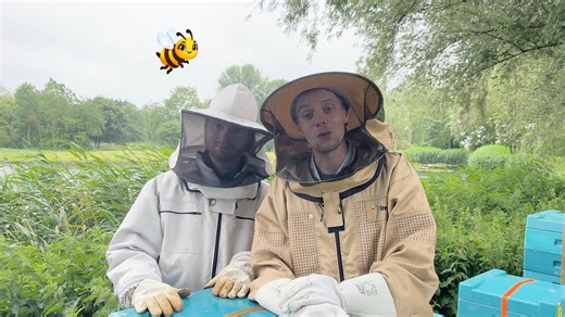 2.4K views · 41 reactions | Ça y est ! Jouez au Bingo, collectionnez les Fleurs, débloquez des récompenses, SAUVEZ LES ABEILLES ! Jusqu’au 30 juin, chaque partie compte pour sauver les abeilles ! www.gamepoint.com/beeahero | GamePoint Bingo | Facebook