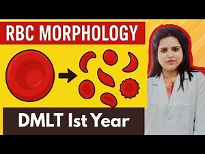 RBC Morphology | Types of Red Blood Cells | Hematology for DMLT & Medical Students