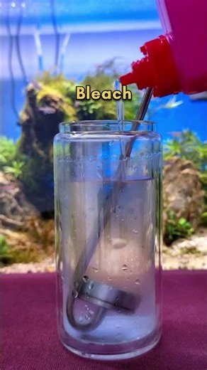 Clogged CO2 diffuser cleaning #aquariummaintenance