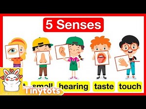 Learn the Five Senses | See, Hear, Smell, Taste, and Touch with for kids | Tinytots