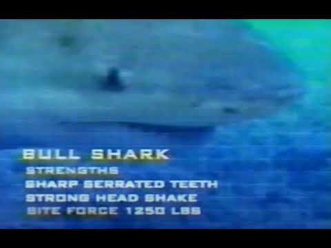 Animal Face-Off Soundtrack: Crucher 