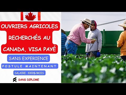 OUVRIERS AGRICOLES AU CANADA AVEC VISA GRATUIT EN 2024, AUCUNE FORMATION, AUCUNE EXPÉRIENCE