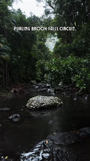 Tom Bennett | Photographer on Instagram: "While I’ve been doing the @hipcampau camp outs I’ve decided to try explore the areas as much as I can and be more active so I downloaded the @alltrails app to help me find the best tracks to run 🙌 #photographer #hipcamp #alltrails #trailrunning #springbrooknationalpark"