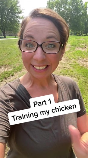 Training My Chicken: Can We Make It Happen?
