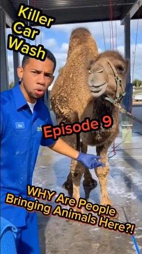 Killer Car Wash: Episode 9 - WHY Are People Bringing Animals Here?!