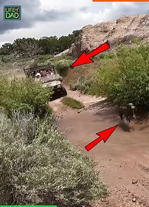 30K views · 508 reactions | Epic ATV mishaps | Tatau | Facebook