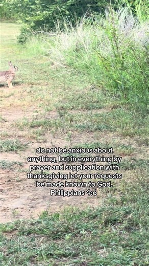 Philippians 4:6: Don't Be Anxious, Pray to God