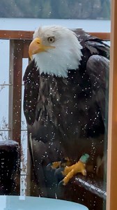 This is absolutely terrifying 😳 | LADbible New Zealand