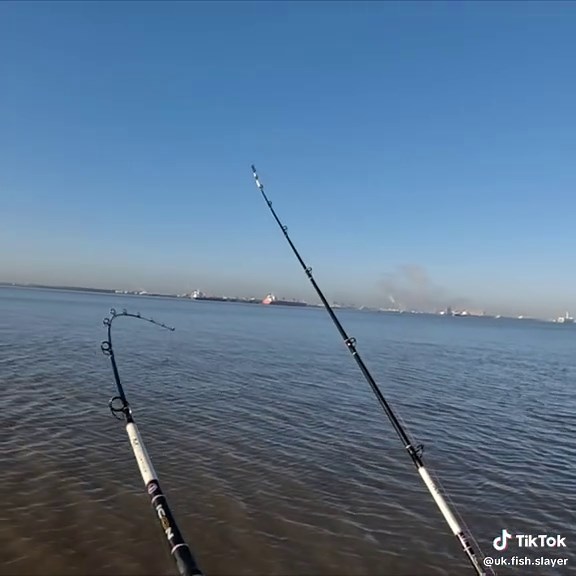 A nice northeast codling 😎 #fishing #fishinglife #boatlife #boatfishing #codfish #seafishing