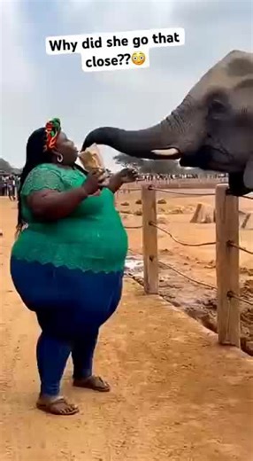 Exploring the Magic of Smart Bots and AI