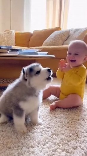 Nap Time Buddies – The Cuddle Truce” #cute #cutebaby #cutebabies #funny #dog #puppy #puppiesoftiktok #baby #cutepuppies #puppylife #puppies #fun #babylove | Baby & Pets | Facebook