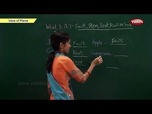 CBSE Class 2 Science : Uses of Plants | Class 2 Science CBSE School Syllabus Videos | NCERT