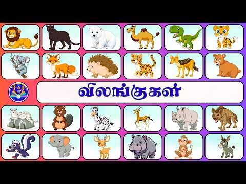 விலங்குகளின் பெயர்கள் | Animals Name in Tamil and English | ‪@KIDS123TVLEARN‬|