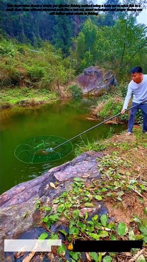 No Cast Net? No Problem | This Net Still Works