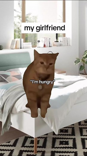 Funny Cat Meme Compilation | Relationship Humor