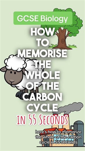 Memorising the Whole of the Carbon Cycle in less than a minute! #biology #gcse #revision