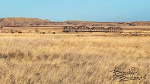 Some would be scared, but we loved the Milwaukee RR Bridge to the Calypso Trail