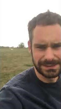 how to spot and right a cast sheep (a sheep stuck on its back)