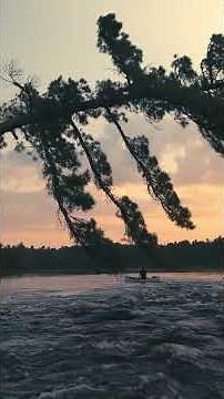 “I have forever known that water and wilderness are where the true living happens."