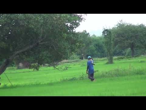 countryside, cooking in the stream with beautiful nature in vietnam