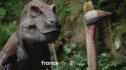 Les dinosaures sont de retour 🦖 ! Revivez l'existence de ces icônes de la préhistoire et percez les secrets de leurs incroyables capacités d’adaptation ! "Sur la terre des dinosaures", bientôt sur France 2 et sur la plateforme france.tv ! | France tv nature