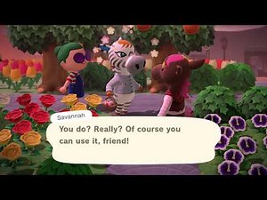 Animal Crossing New Horizons - Savannah and Annalise