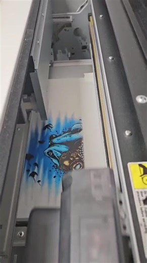 DTF print na Polyprint Texjet Echo 2 printer