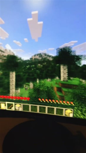 First time playing minecraft java