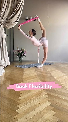 Back Flexibility Exercises | Spine Mobility | Stretch Routine