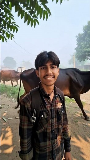 Rural Path Cow Walk: Discover Nature's Beauty