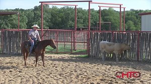 Mastering your feet and legs when riding cutting horses is not easy. In fact, it's almost mysterious the way trainers emphasize this, yet it can be so difficult to see what they are actually doing. This week, we continue that theme in two videos with Winston Hansma who explains how to use your feet when working cattle. Not to be missed! To see in full go to https://chtolive.com/videos/how-to-use-your-feet-when-working-cattle/ CD Lights | Cutting Horse Training Online