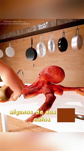 Exploring the World of Science and Knowledge