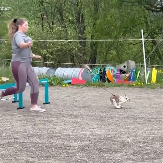 A bunny with a unique running speed! | MetDaan Creative