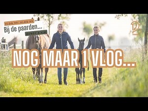 Just 1 more vlog...